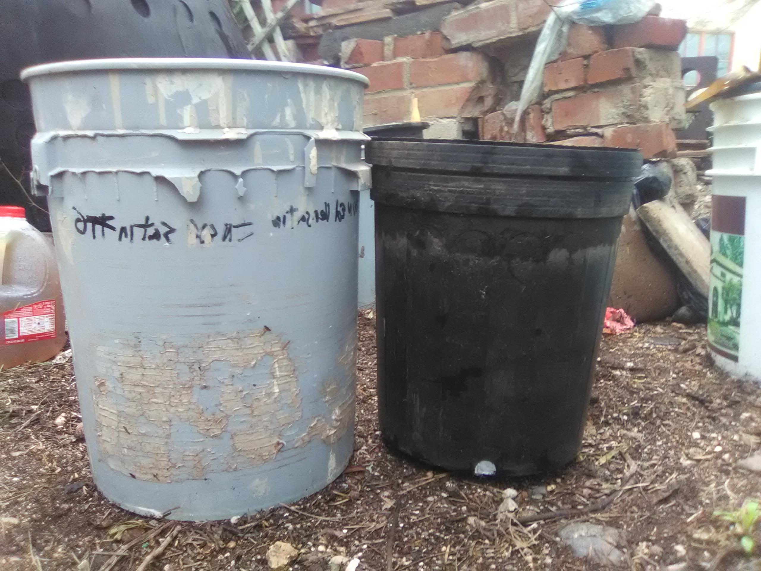 Left: 5 gallon bucket. Right: black planter “soaker” Left: 5 gallon bucket. Right: black planter “soaker”