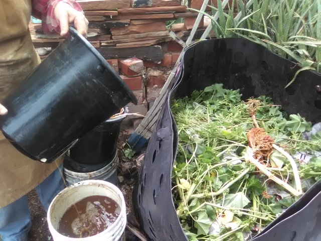 Adding soaked brown materials to compost bin over green materials. Adding soaked brown materials to compost bin over green materials.