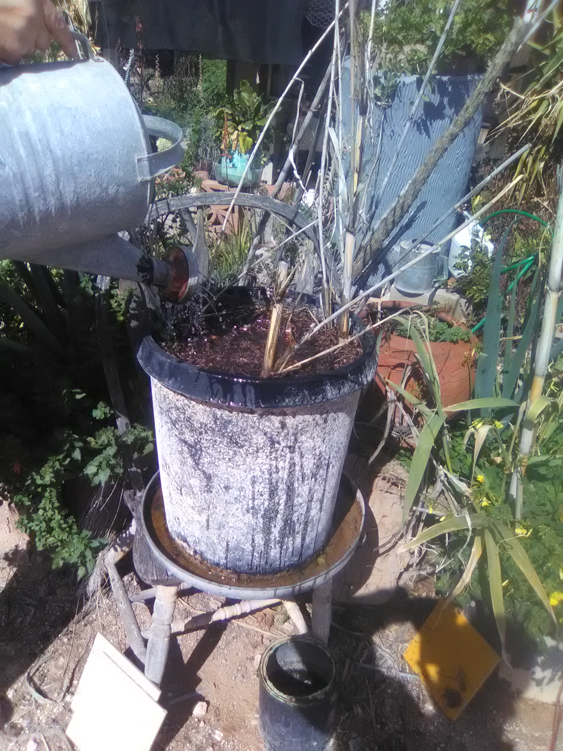 Planter drainage recovery for rain water. Planter drainage recovery for rain water.