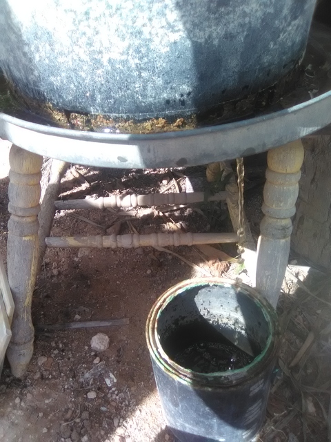 Planter sitting in metal trash can lid with drilled drain hole, 1 gallon bucket under drainage hole.<br />Rewater with the collected water. Planter sitting in metal trash can lid with drilled drain hole, 1 gallon bucket under drainage hole.<br />Rewater with the collected water.